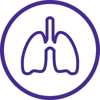lungs
